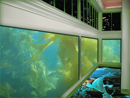 FISH SWIMMING IN FISH TANK ANIMATED GIF