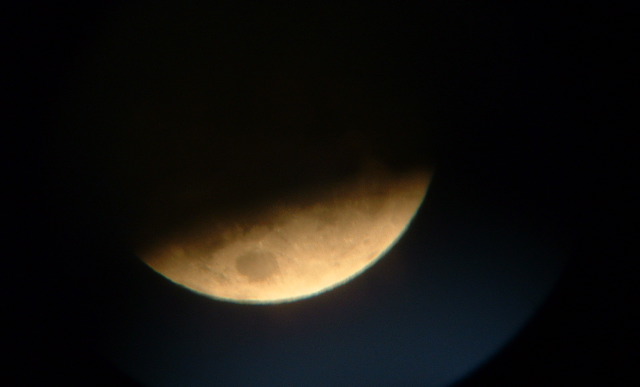 DSCF0101.JPG