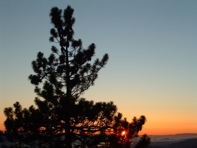 DSCF0088.JPG