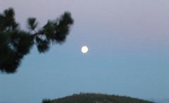 DSCF0099.JPG