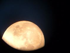 DSCF0100.JPG