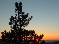 DSCF0088.JPG