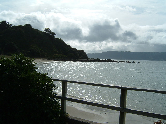 DSCF0006_1