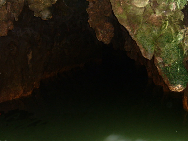 DSCF0145