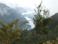 DSCF0047