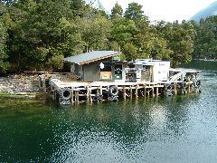 DSCF0022_1