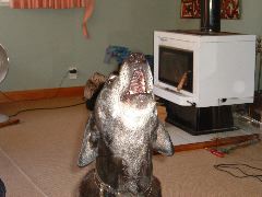 DSCF0048