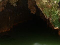 DSCF0145
