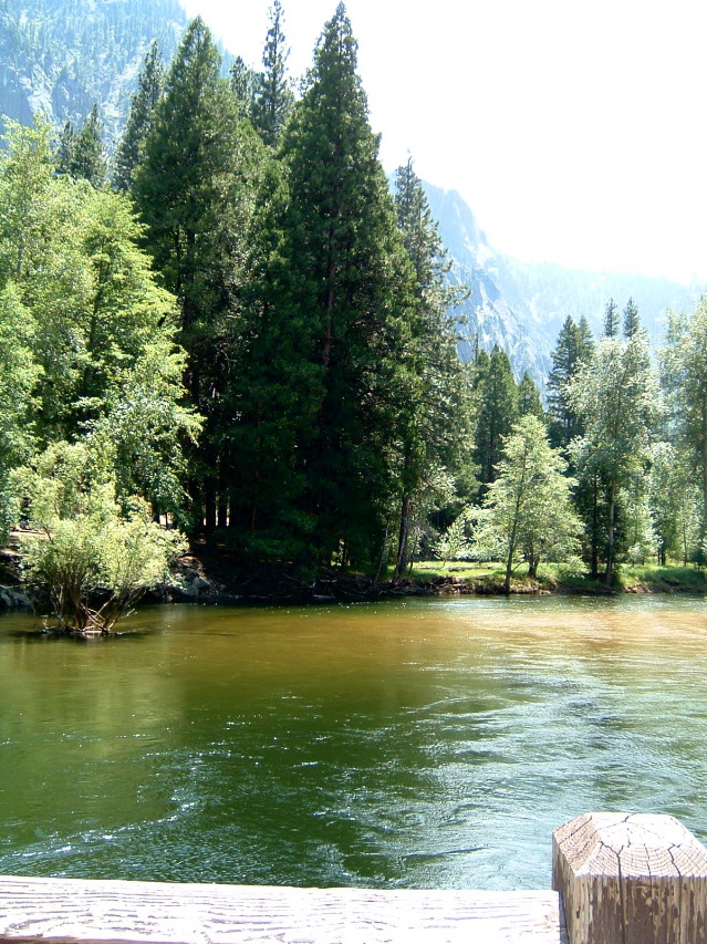 DSCF0098.JPG